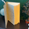 Cancer Journal