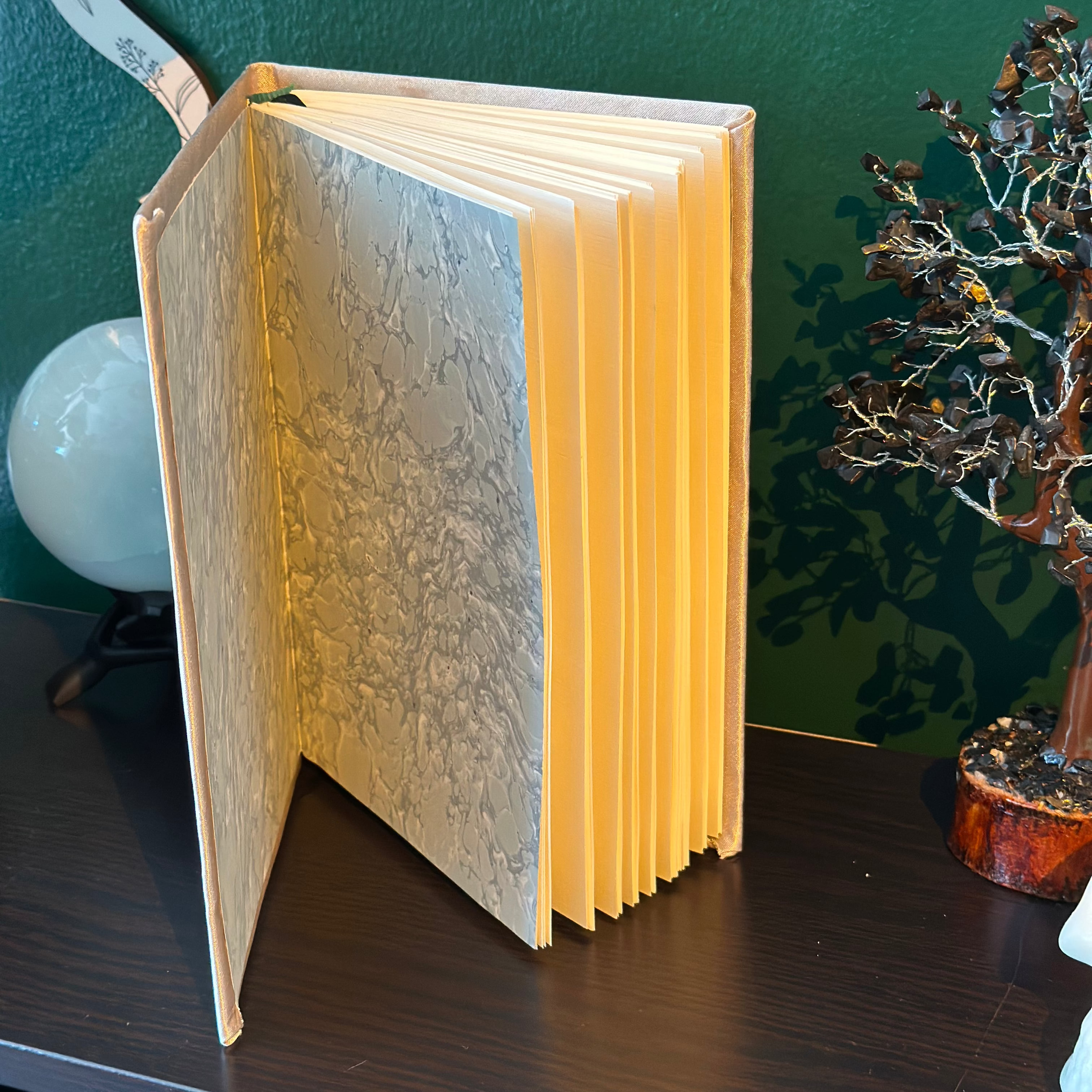 Cancer Journal