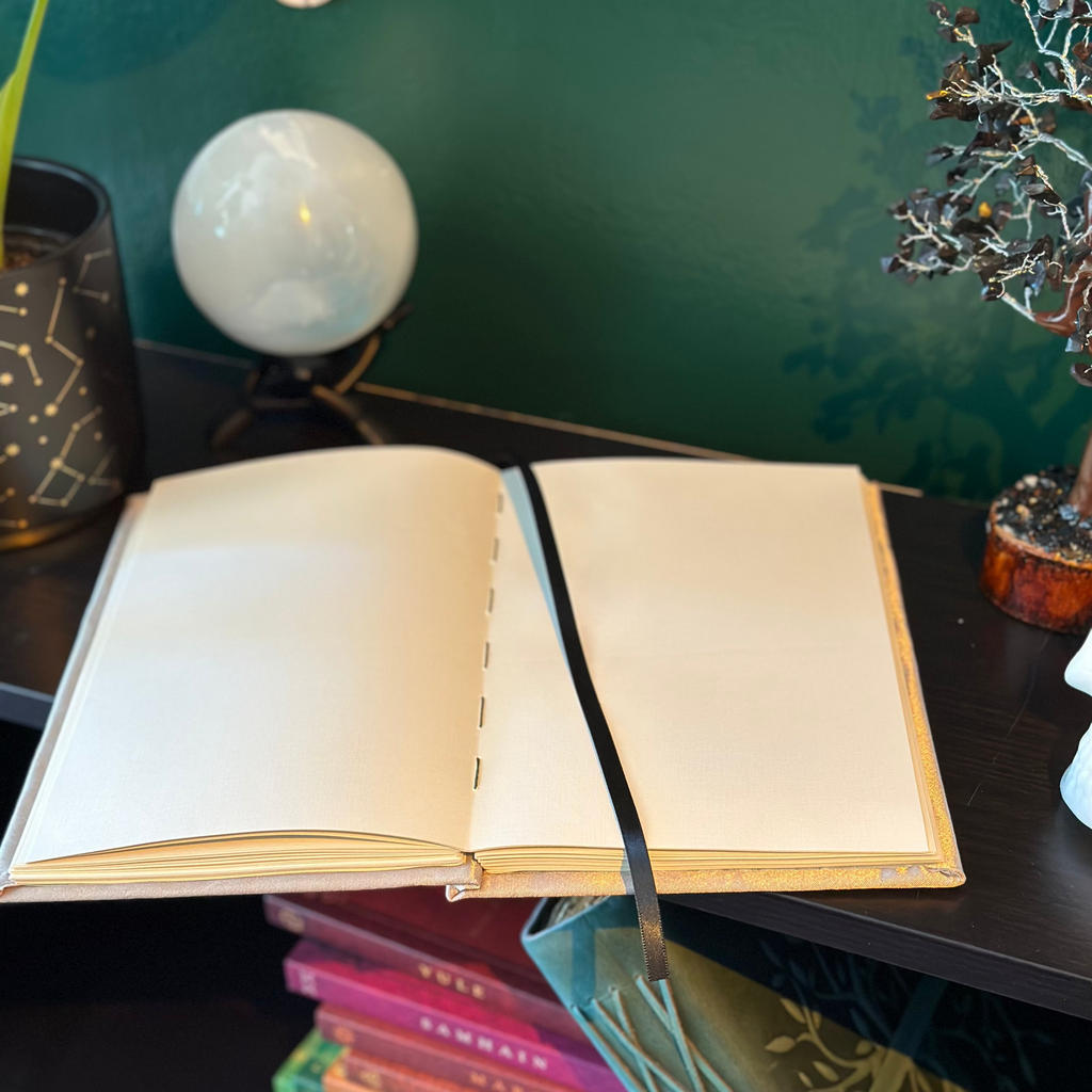 Cancer Journal