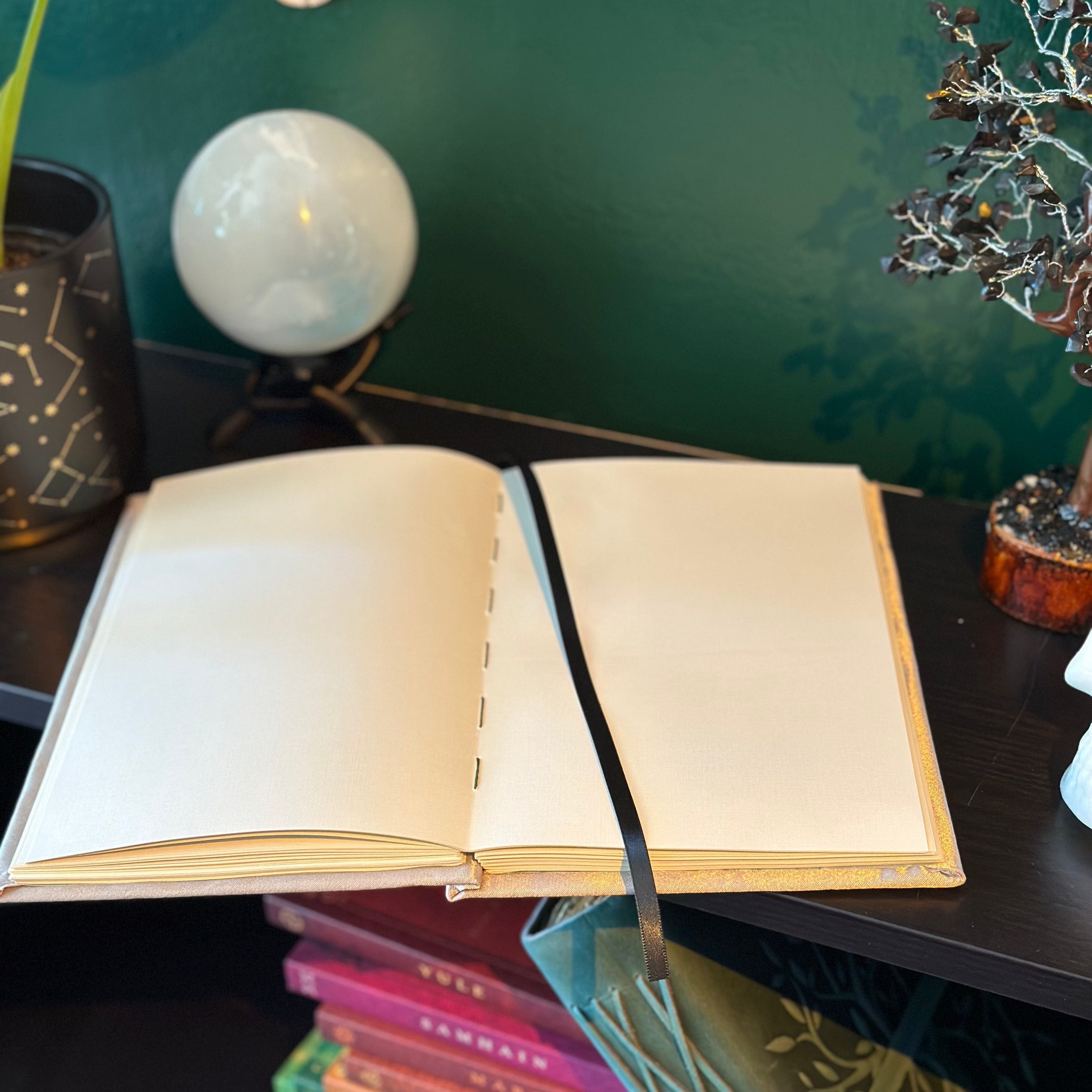 Cancer Journal