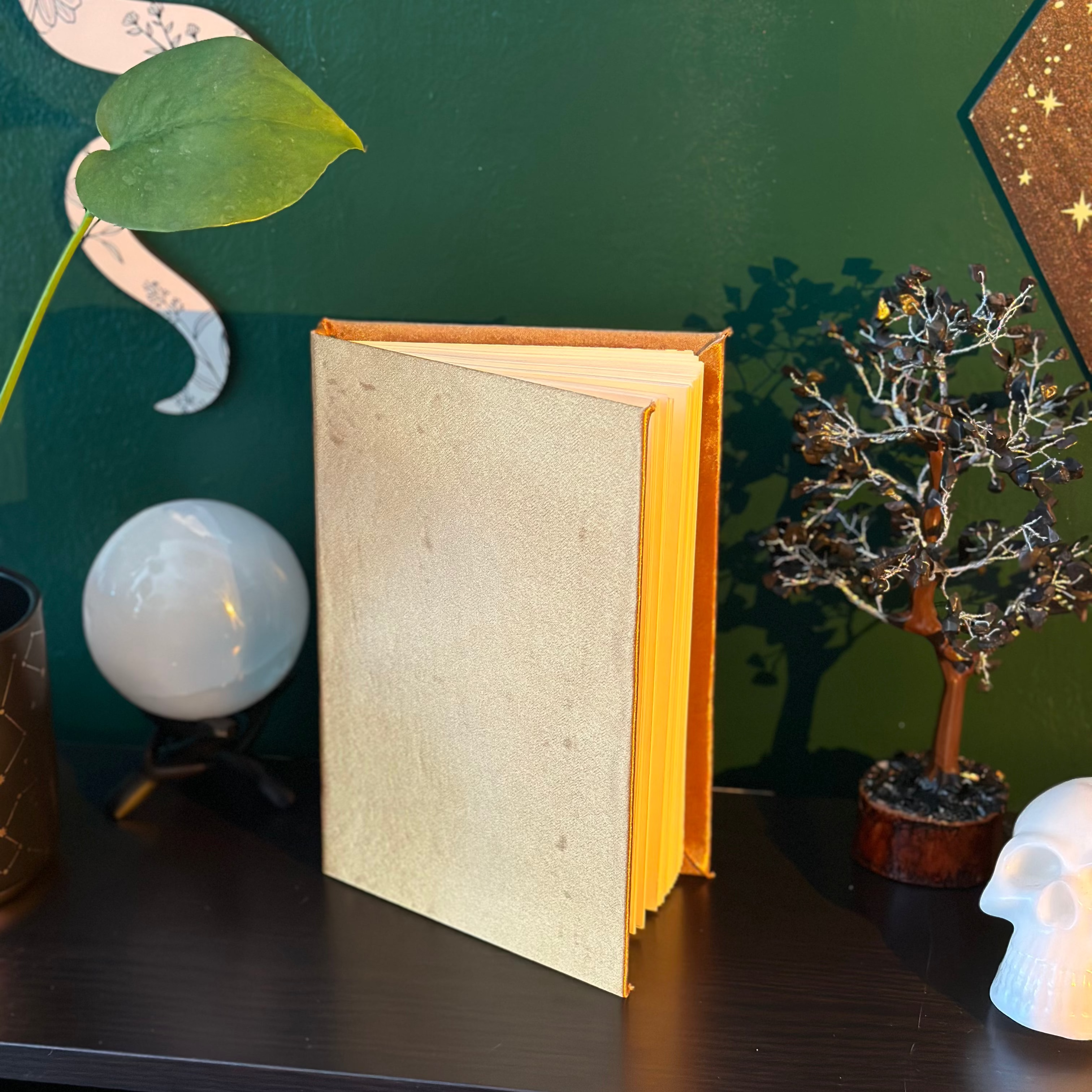 Leo Journal