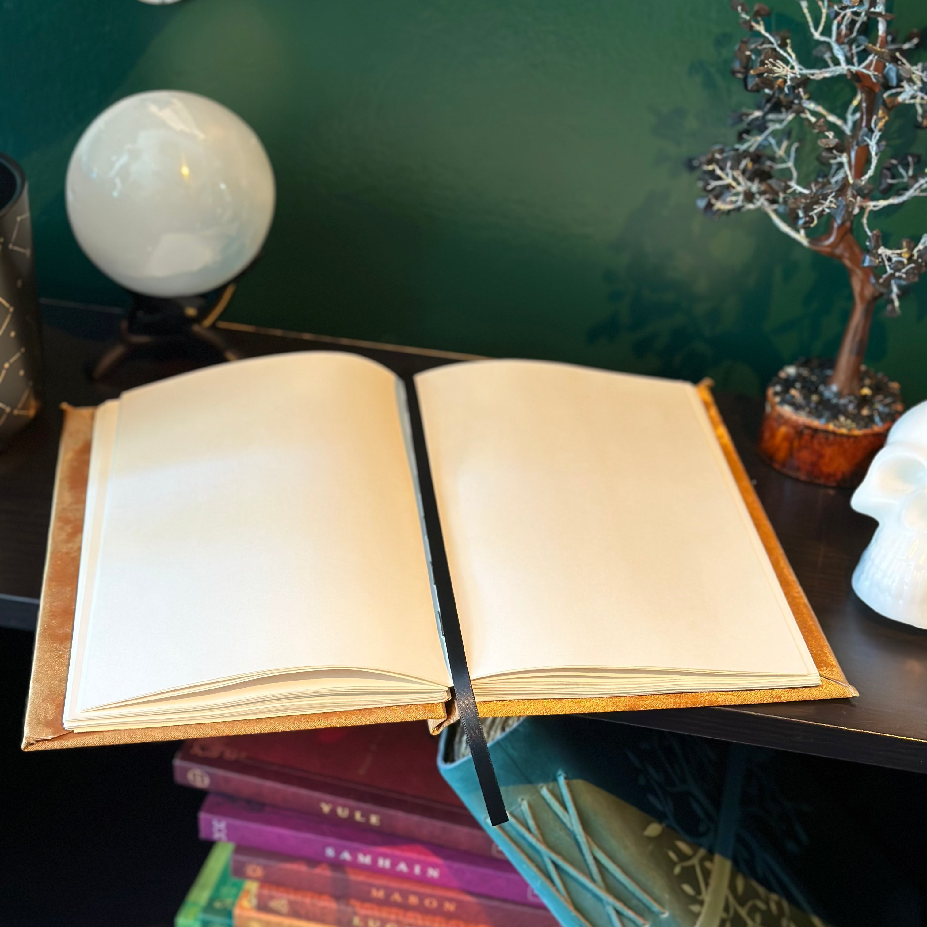 Leo Journal