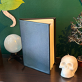 Scorpio Journal
