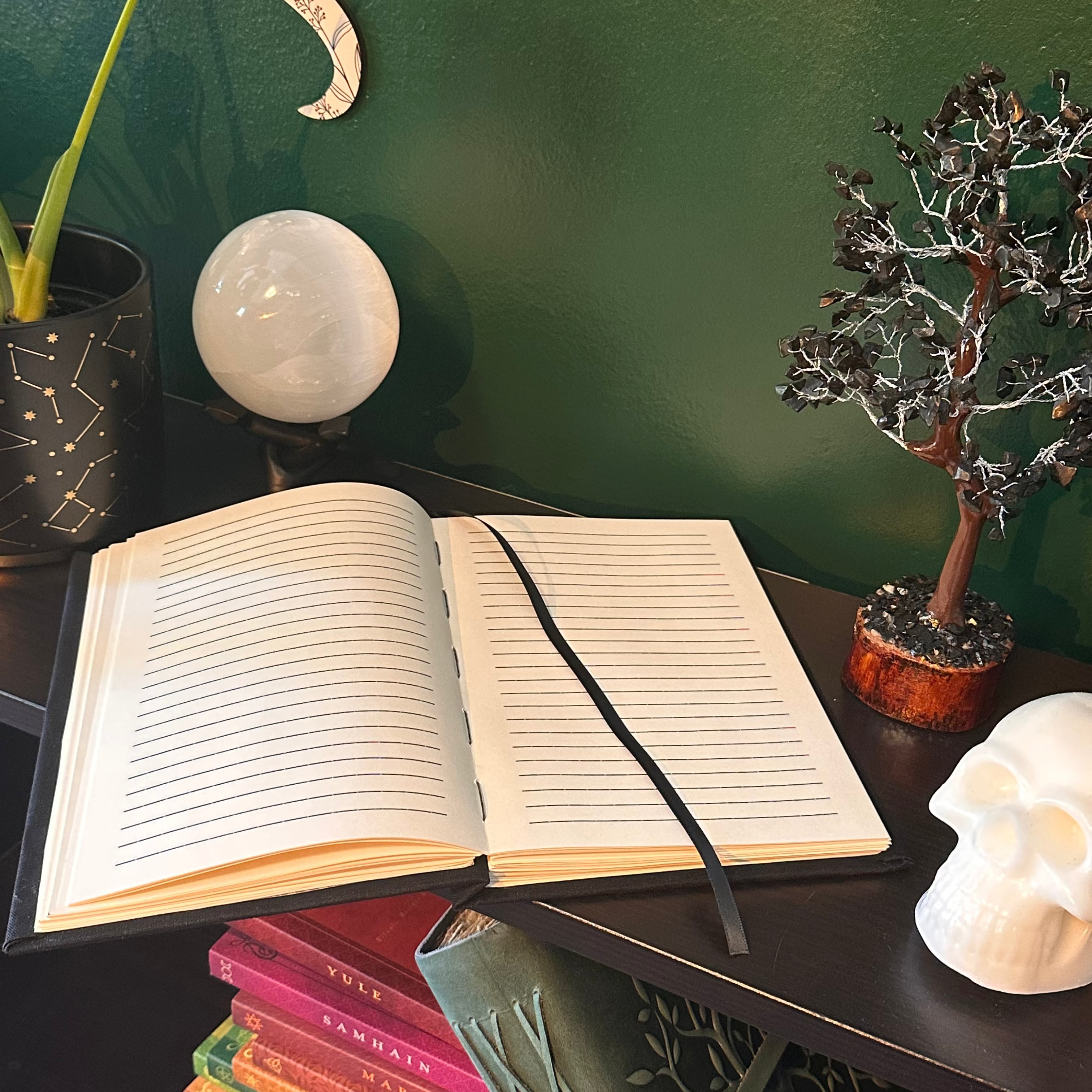 Capricorn Journal
