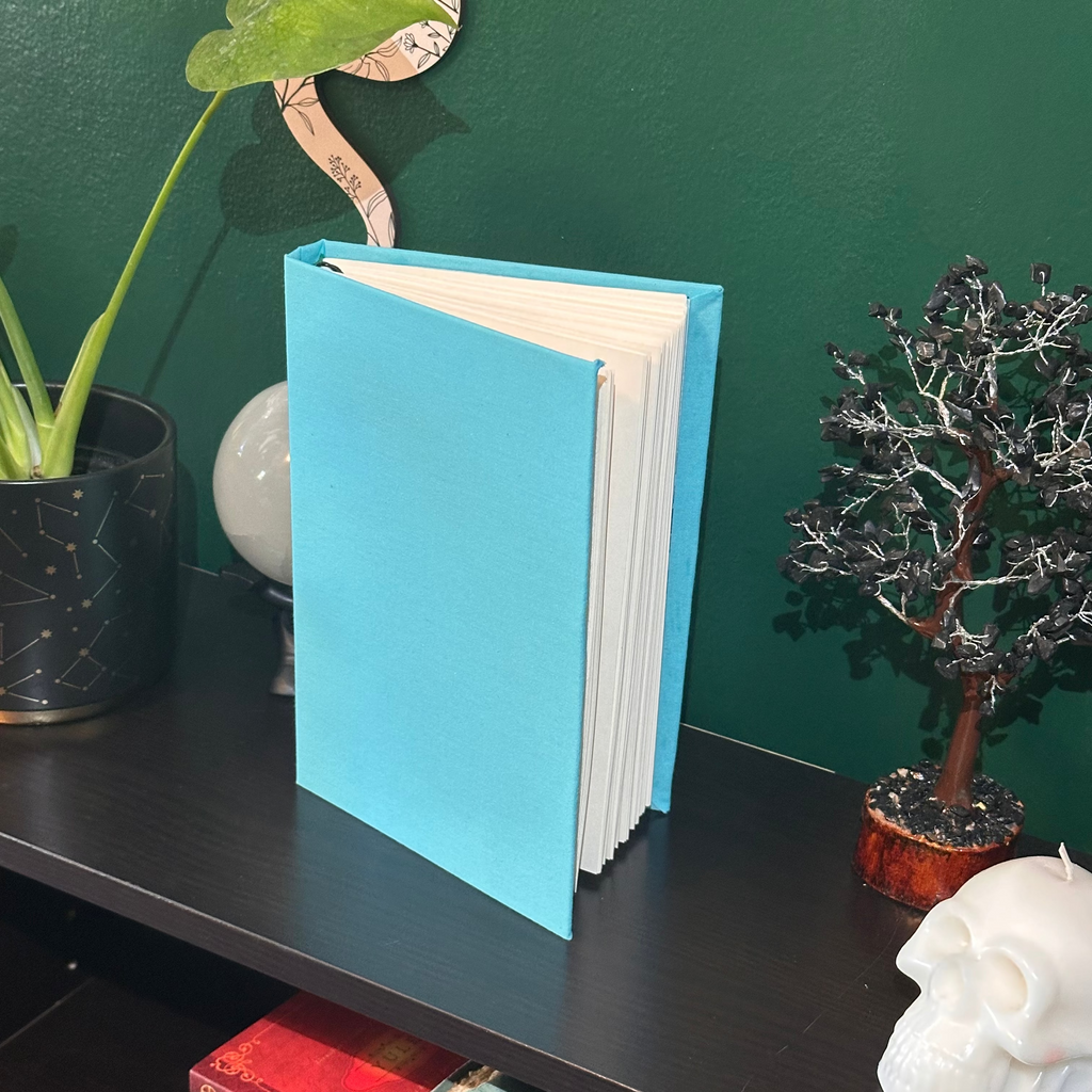 Aquarius Journal