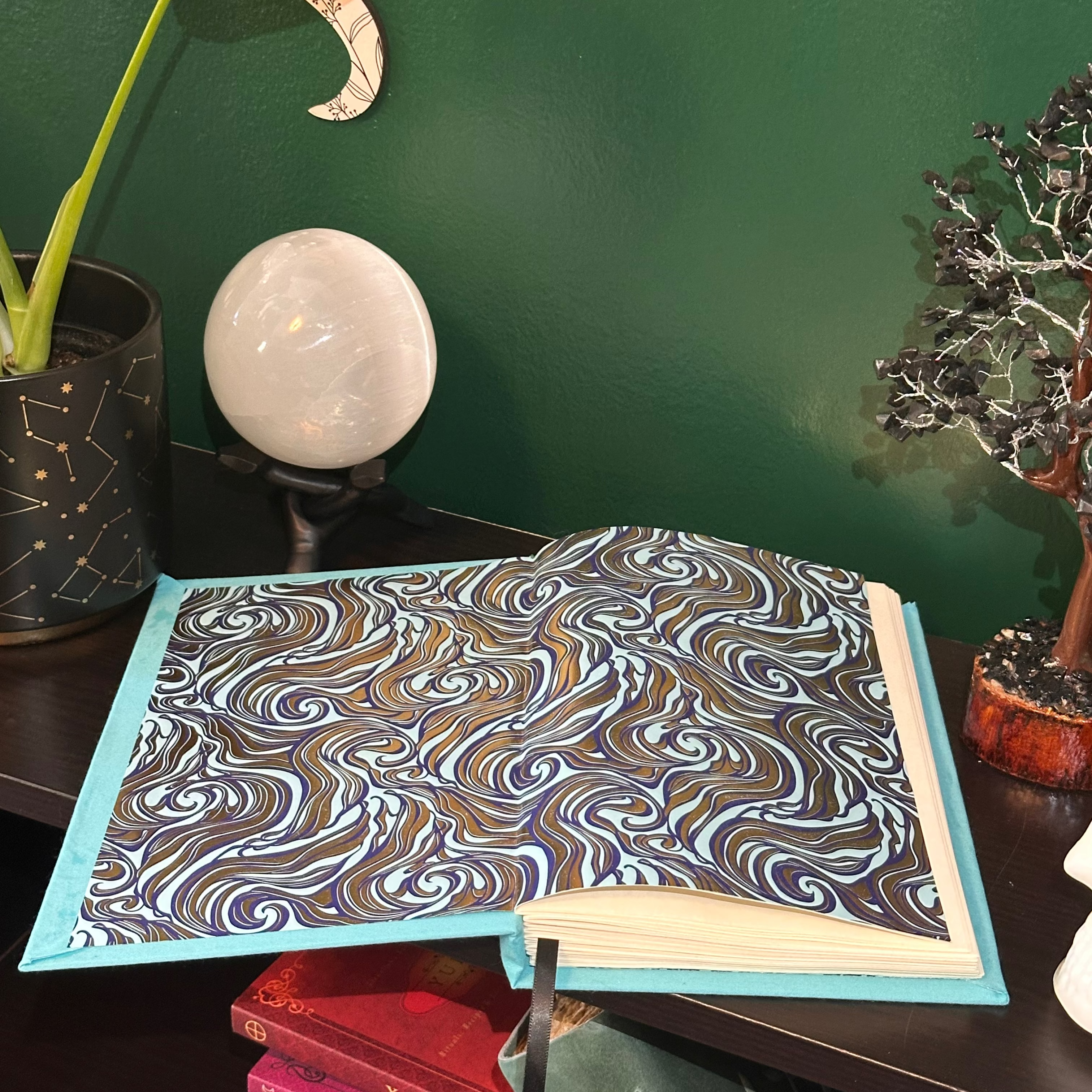 Aquarius Journal