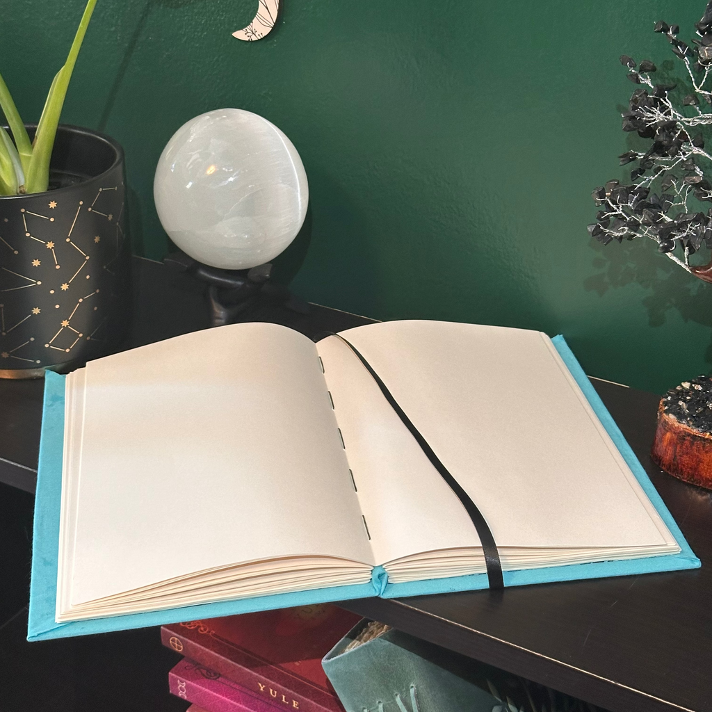 Aquarius Journal