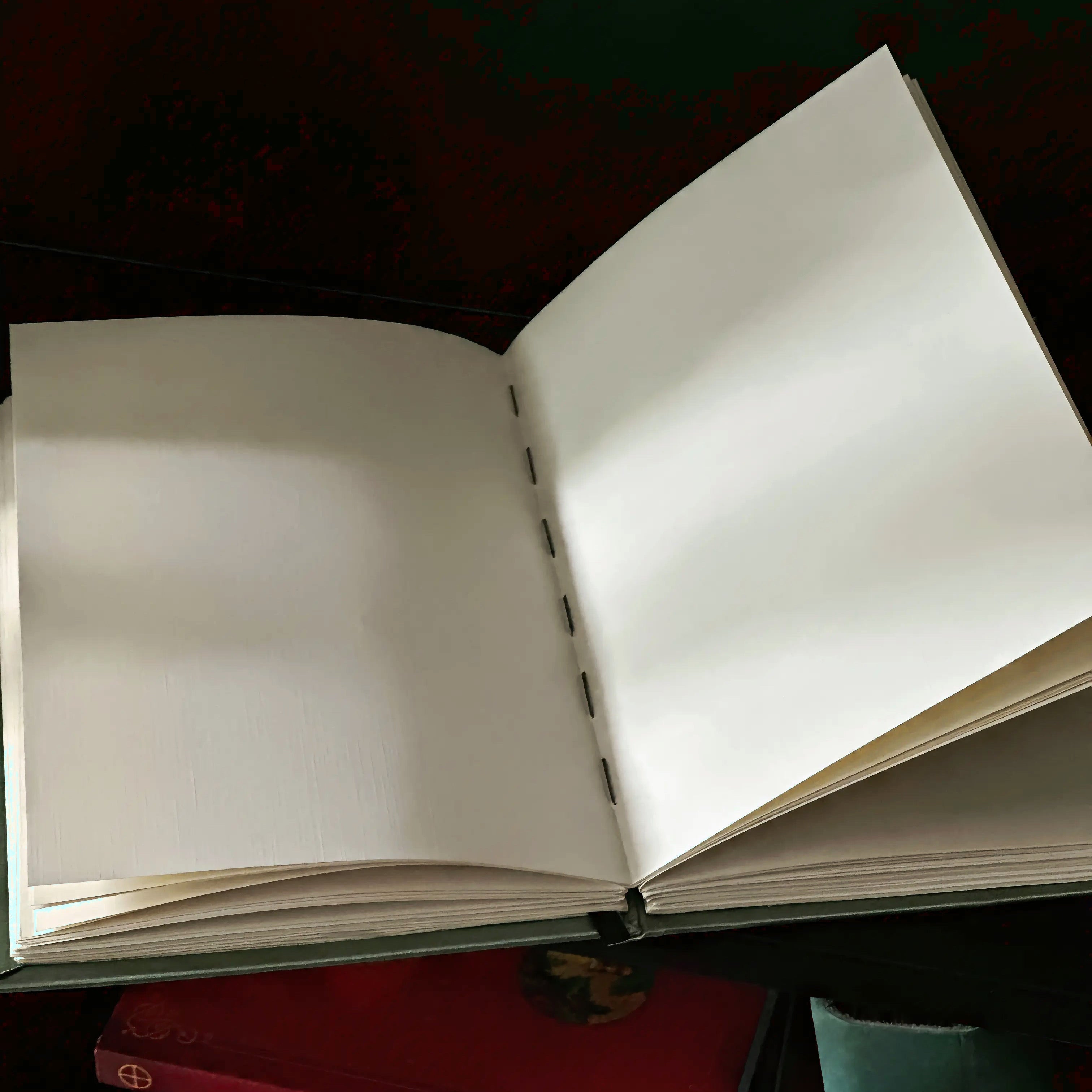 Taurus-Themed Blank Journal