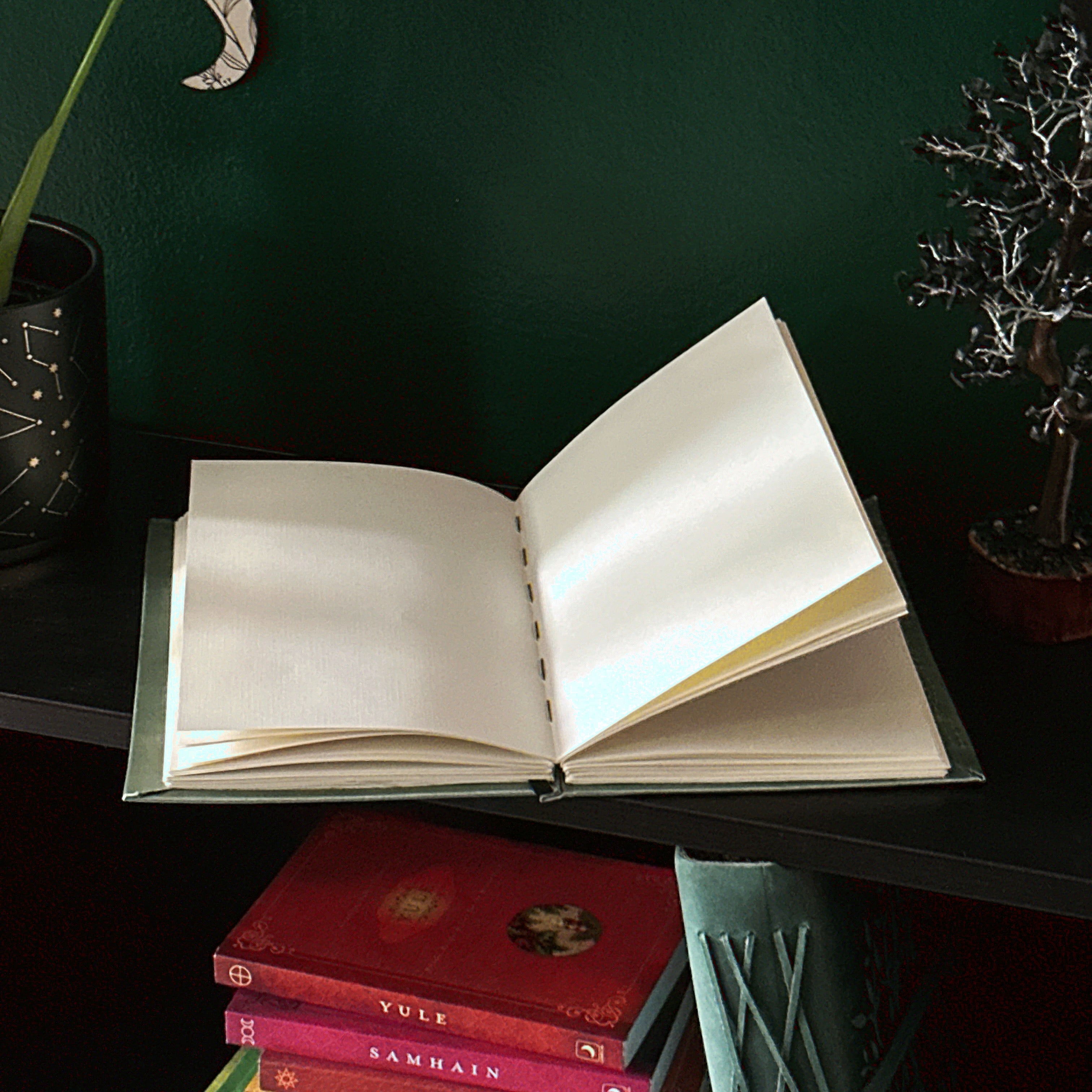 Taurus-Themed Blank Journal